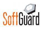 SECURITY SOFTWARE WORLDWIDE CORP.