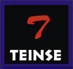 TEINSE ARGENTINA