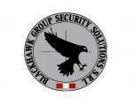 BLACKHAWK GROUP SECURITY SOLUTIONS