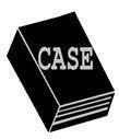 CASE SYSTEMS S.A. DE C.V. MEXICO