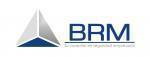 20121203130006_Logo_BRM_.jpg