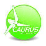 CAURUS ECO INGENIERIA SA DE CV