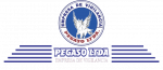 PEGASO LTDA