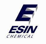 20120730102655_LOGO_ESIN__2012_.GIF