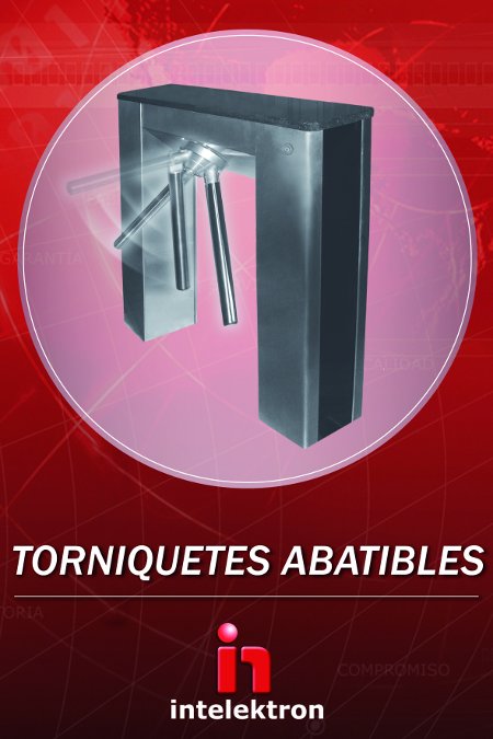 intelektron_torniquetes_abatibles.jpg